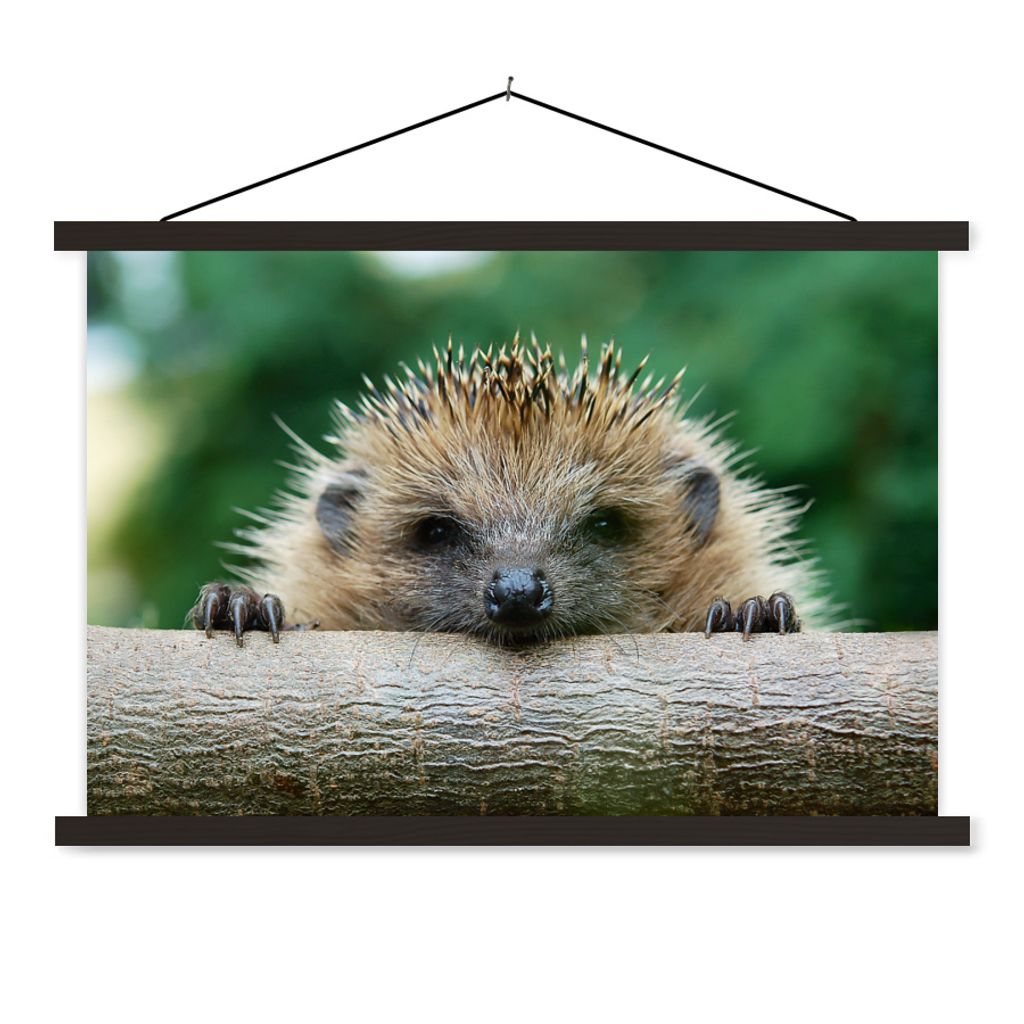 MuchoWow Textilposter Igel beißt Holz 120x80 cm mit schwarzem Rahmen - Wanddeko