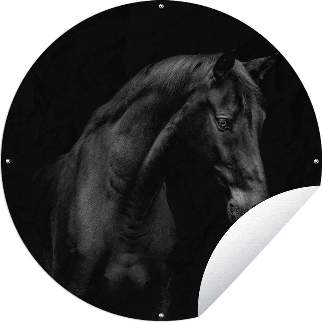 MuchoWow Gartenposter Outdoor-Poster Rund Pferd - Tier - Schwarz und weiß Ø 60 cm Gartendeko Rundes Poster draußen