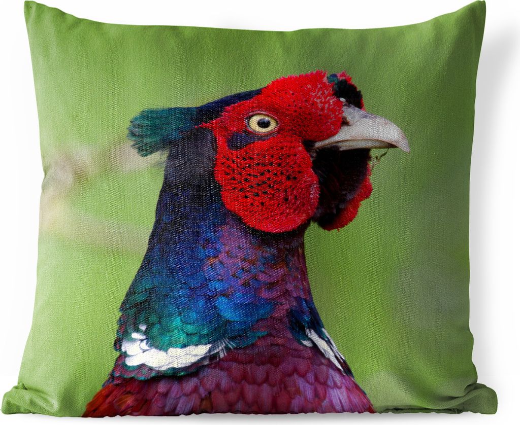 MuchoWow Outdoor Kissen - Fasan - Tiere - Grün - 45x45 cm - Wetterfest - Lounge Kissen - Fotokissen - Dekoratives Kissen