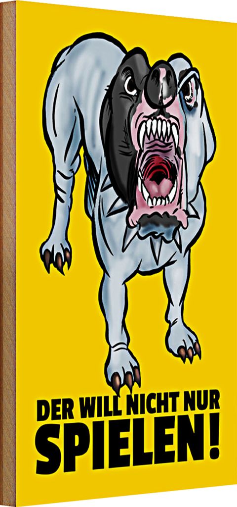 Holzschild Spruch 20x30cm Der will nicht nur spielen Hund