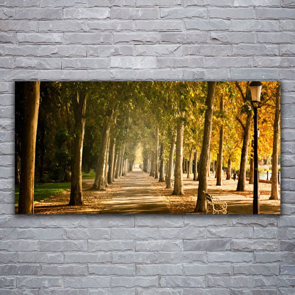 Glasbilder 120x60 Wandbild Druck auf Glas Parkallee Landschaft