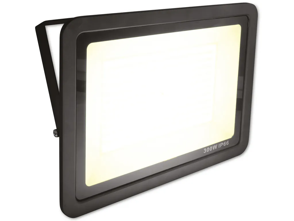 Projecteur LED Extérieur pour Terrasse et Jardin Eurolite FL-300 SMD