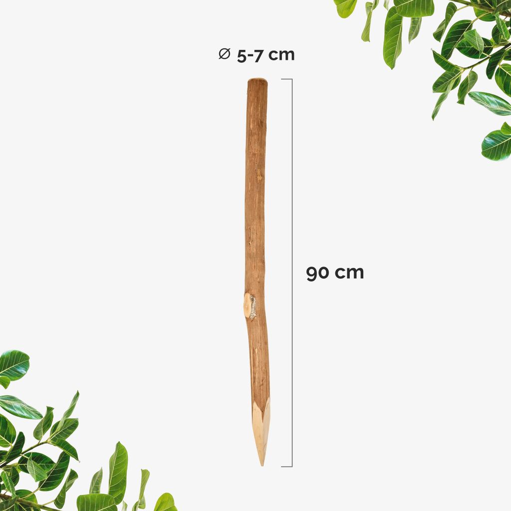 Garronda Haselnuss Zaunpfosten 90 cm – rund angespitzte Holzpfähle für Staketenzaun, Holzzaun, Gartenzaun oder Bauernzaun – robuste Holzpflö...