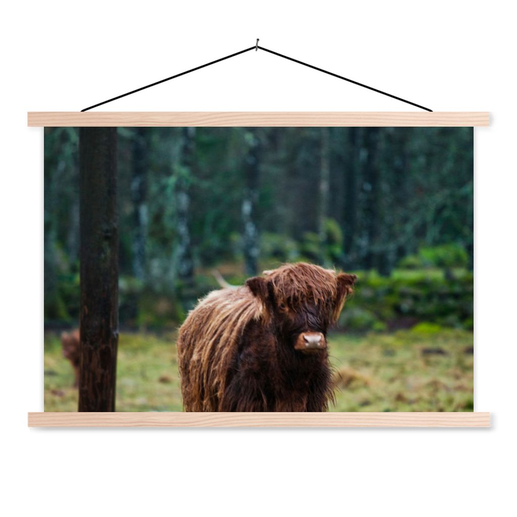 MuchoWow Textilposter Schottischer Hochländer - Wald - Moos 60x40 cm mit holzfarbenen Rahmen - Bilder
