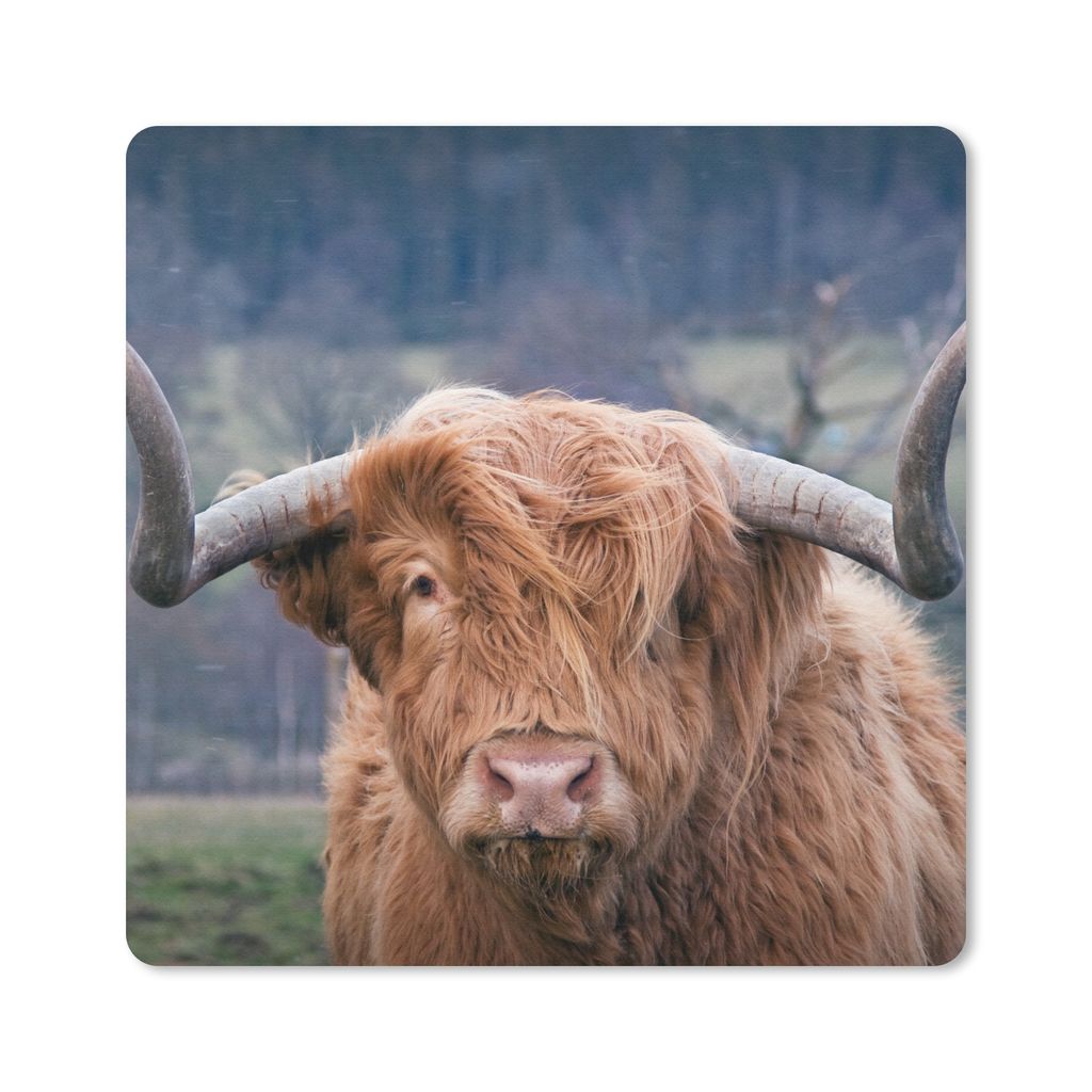 MuchoWow Mauspad Mousepad Schottischer Highlander - Kuhkopf - Landschaft - Natur - Kuh 20x20 cm - Mousepads - Maus Mat - Pad - Mausunterlage - De...