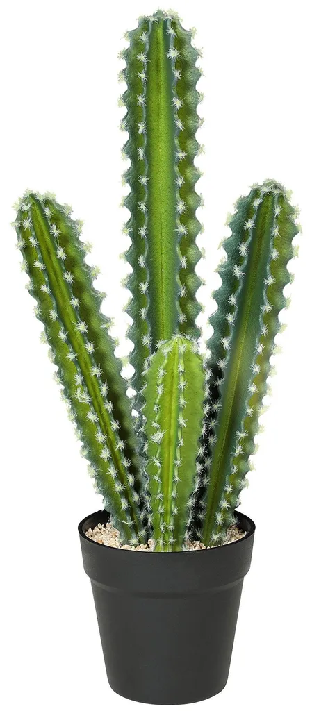 Cactus Artificiel Réaliste 53 cm - Aspect Naturel sans Entretien Quotidien