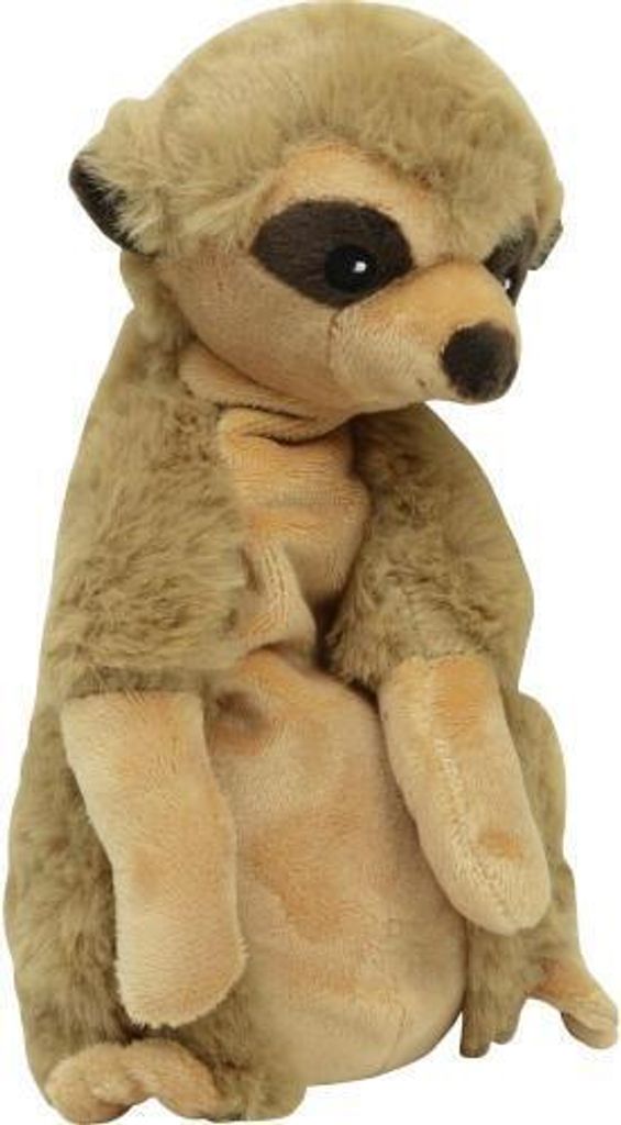 Meerkat 13