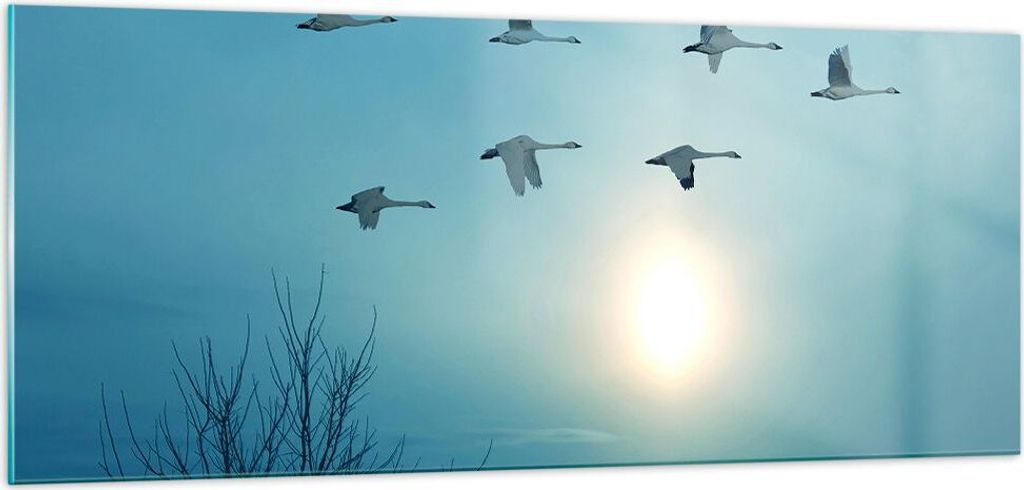 Bilder auf glas - Storch Vogel Natur - 100x40cm - Glasbilder - Wandbilder - Kunstdruck - zum Aufhängen bereit - Wanddekoration aus Glas - Glas Bil...