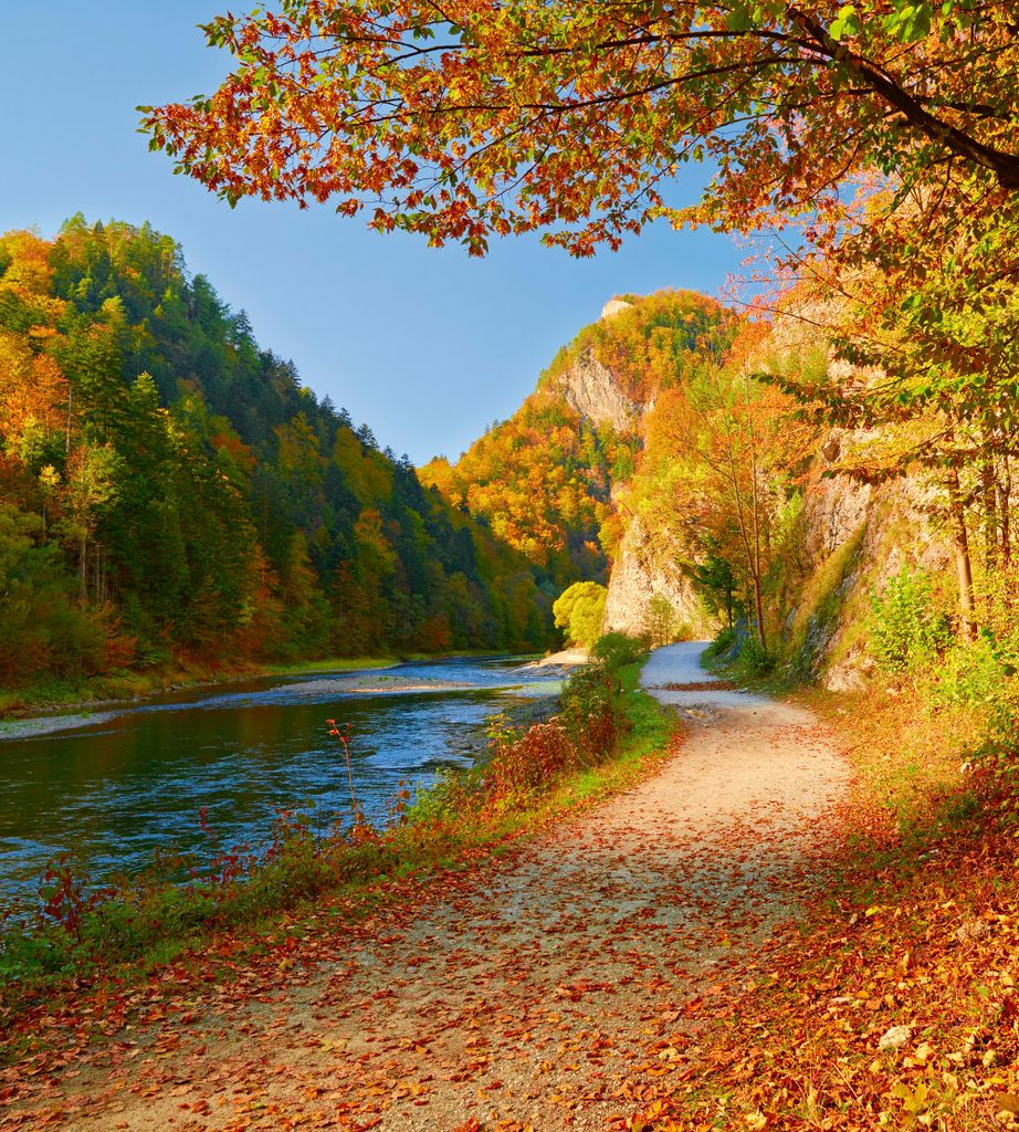 Fototapete - Dunajec River 225x250cm - Vliestapete