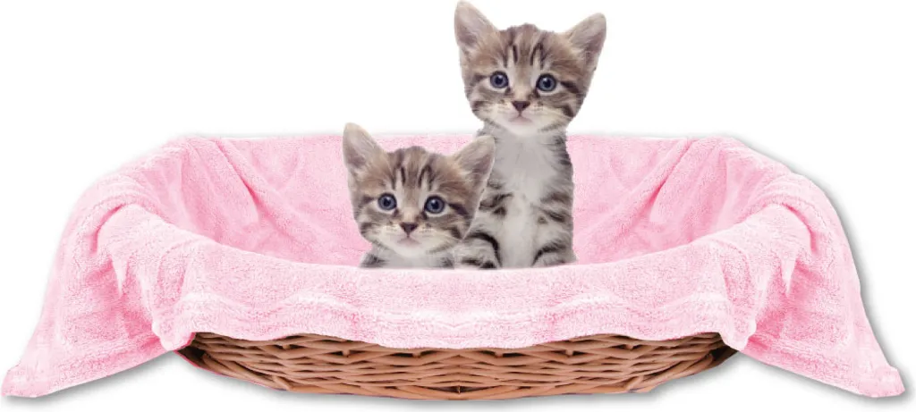 Morbido Plaid per Gatti Rosa 90x140 | Coperta Calda per Nanna Animali