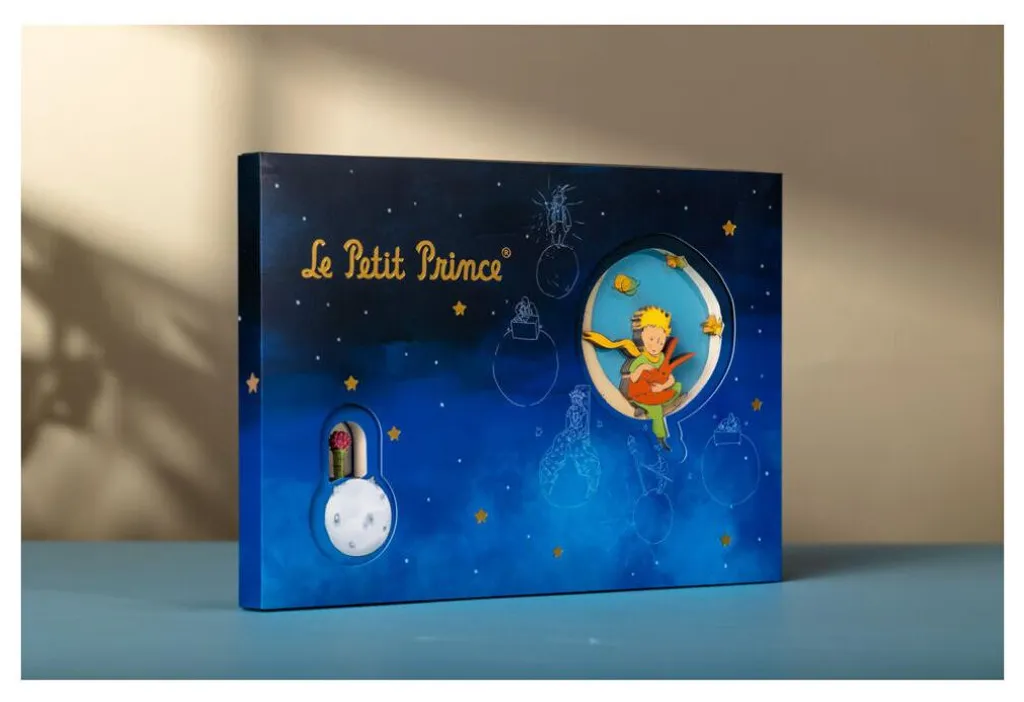 Ne perdez plus vos idées avec ce carnet Le Petit Prince A5 élégant