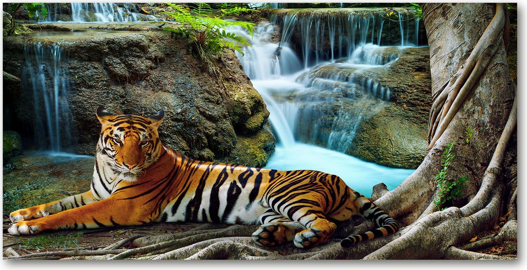 Tulup Glas-Bild - 100x50 -Wandkunst - Wandbild hinter gehärtetem Sicherheitsglas - Tiere - Tiger Wasserfall - Braun