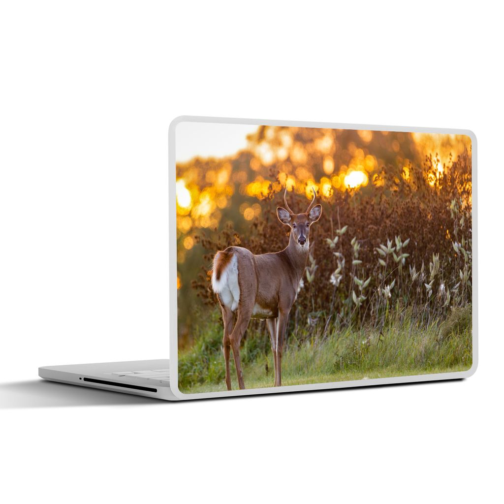 MuchoWow Laptop Aufkleber Sticker Cover Hirsche - Pflanzen - Sonnenuntergang - Wildtiere - Natur 36.5x27.5 cm - Laptop-Sticker
