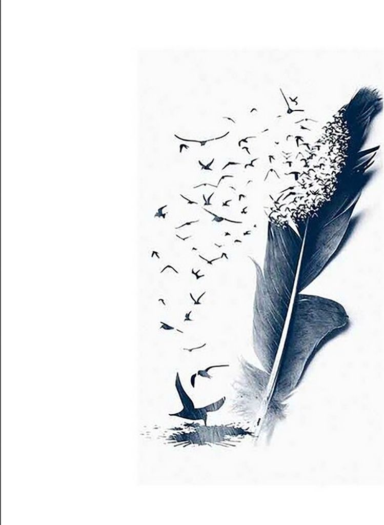 TPFLiving Kunstdruck LW-1711 (OHNE RAHMEN) Poster - Leinwand - Wandbild - Hochauflösender Giclée-Druck, langlebig und hochwertig - Botanisches Aq...