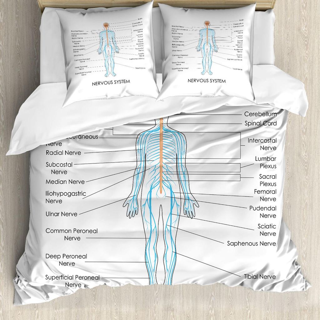 ABAKUHAUS Anatomie Bettbezug Set, Wissenschaft Nerv Der Wirbelsäule Menschliche Nervensystem Grafik Einfacher Hintergrund, 155 x 220 cm + 80 x 80 ...
