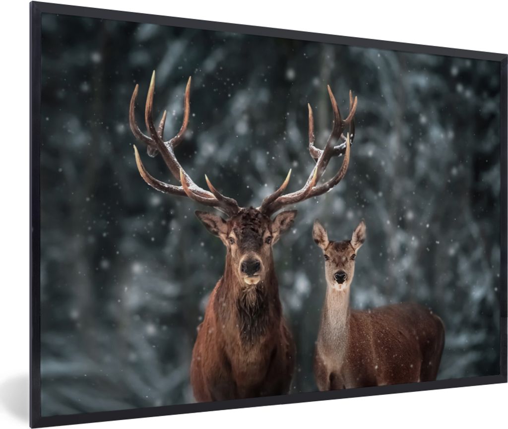 MuchoWow Gerahmtes Poster Hirsche - Tiere - Winter - Geweih - Schnee - Natur 30x20 cm - Poster mit Schwarzem Bilderrahmen Wandposter Rahmen Foto ...
