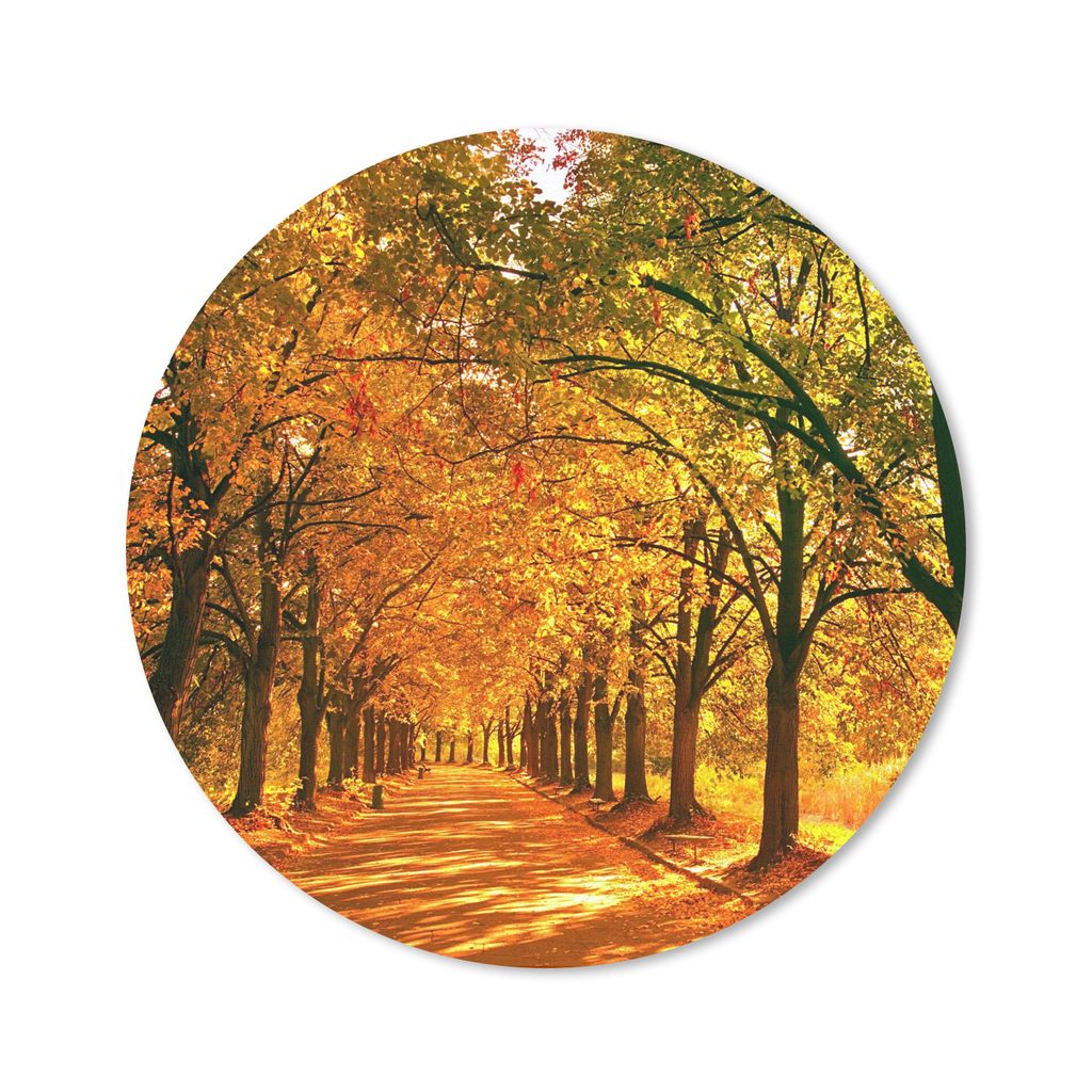 MuchoWow Mauspad Mousepad Wald - Herbst - Jahreszeiten - Ländlich 50x50 cm - Mousepads - Maus Mat - Pad - Mausunterlage - Vinyl