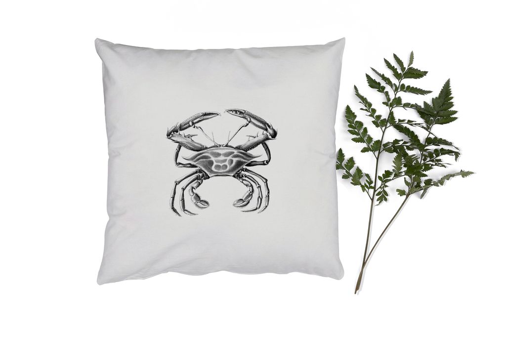 MuchoWow Zierkissen Sofakissen Wohnzimmer Dekokissen 60x60 cm Ernst Haeckel - Jahrgang - Kunst - Krabbe - Sitzfläche - Foto Polster