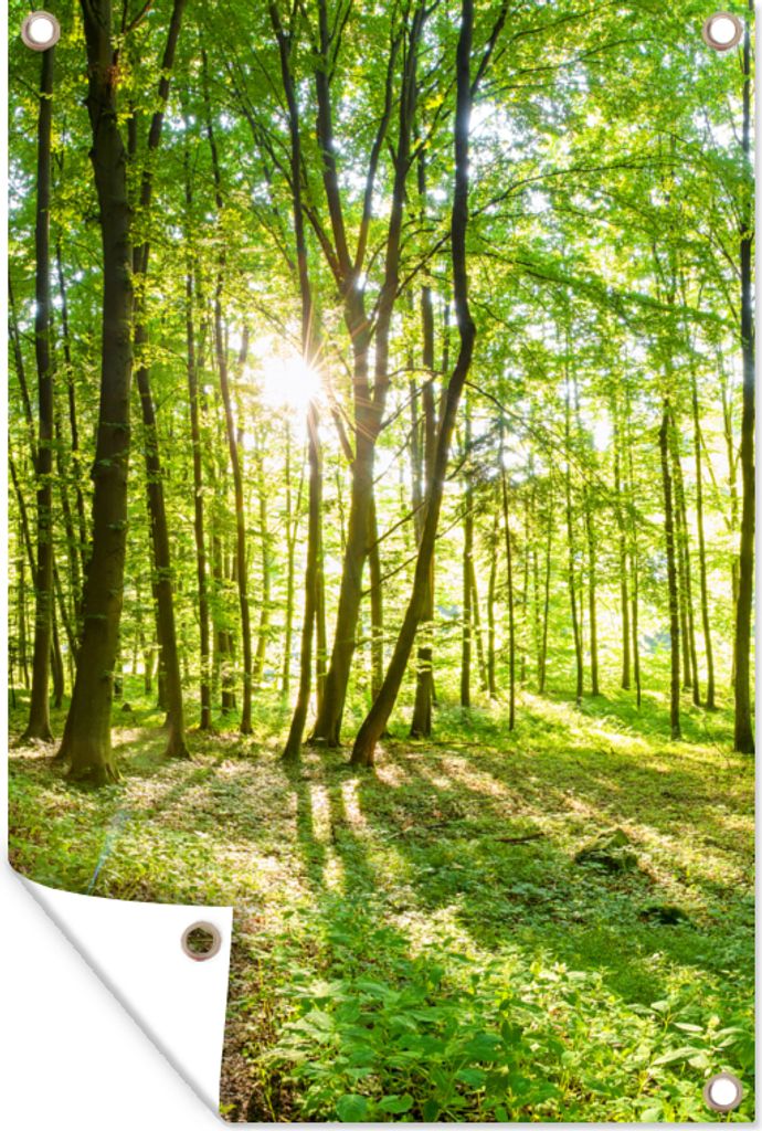 MuchoWow 80x120 cm Outdoor-Poster Gartendeko Sichtschutz Garten Poster für den Garten Natur - Bäume - Wald - Grün - Sonnenlicht