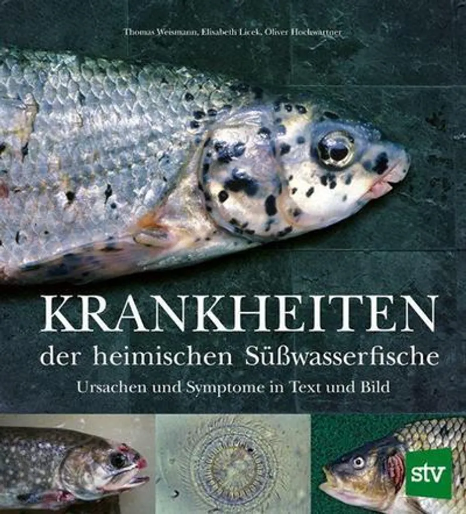 Krankheiten der heimischen Süßwasserfische - Guide des maladies poissons