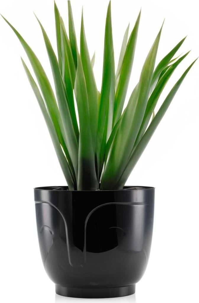 HowHomely Blumentopf Zoe 14 cm Höhe, Pflanzkübel, Schwarz Übertopf für garten balkon