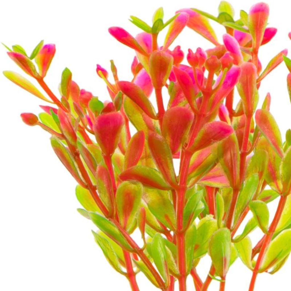 Kruger Meier Pflanze Fluo Pink - künstliche Pflanze