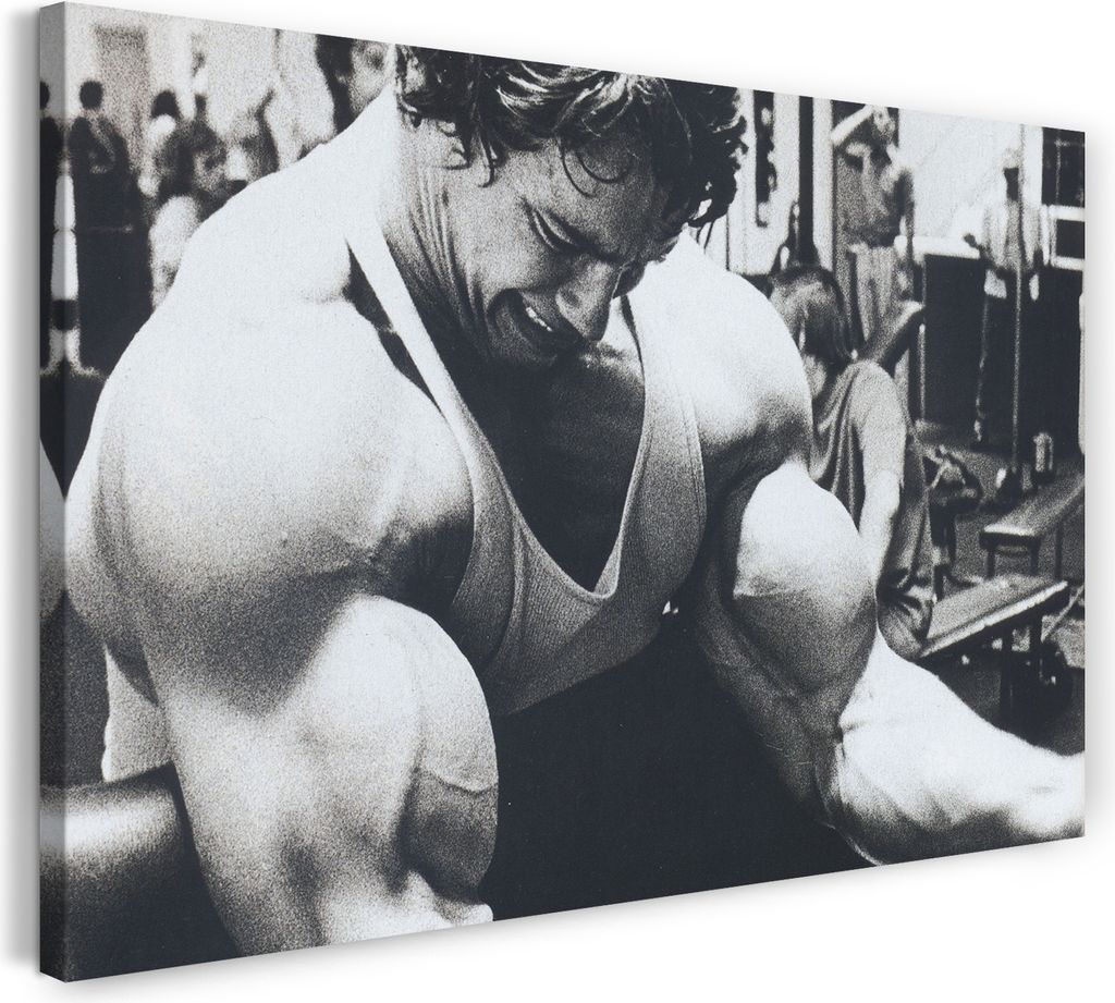 Leinwandbild (120x80cm): Arnold Schwarzenegger, echter Holz-Keilrahmen inkl. Aufhänger, handgefertigt in Deutschland