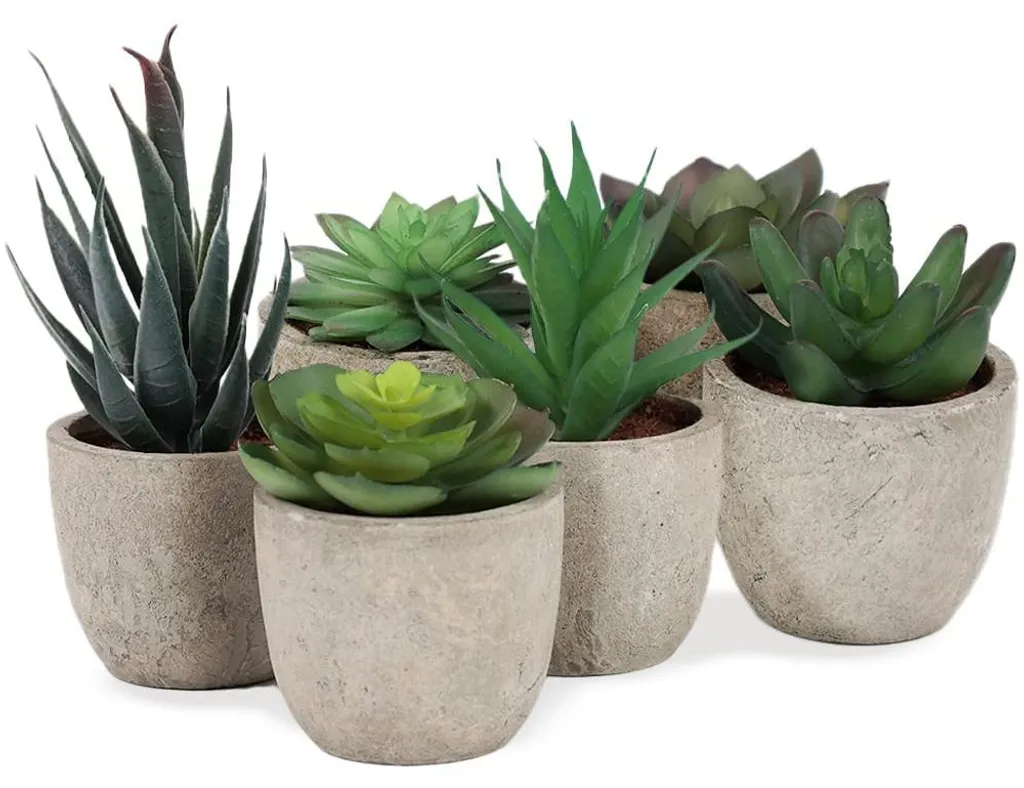 Plantes artificielles pour bureau et salon : lot de 6 succulentes réalistes