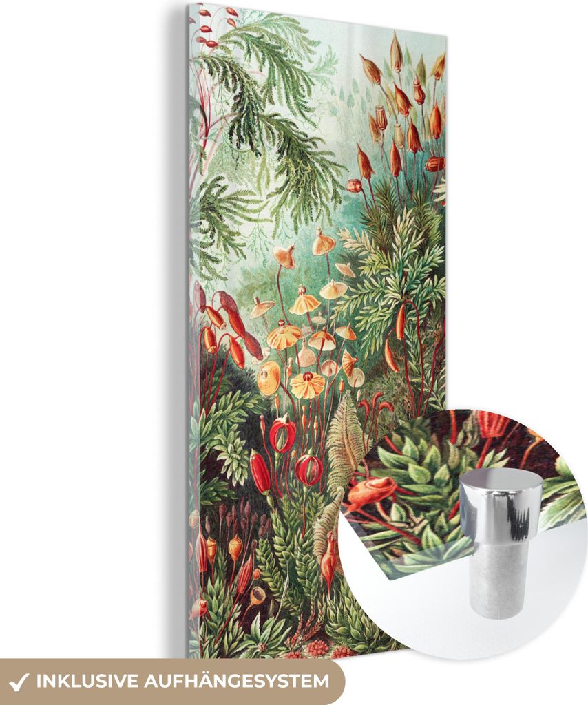 MuchoWow Glasbilder - Bilder auf Wandbild - Foto auf Glas Blumen - Kunst - Vintage - Natur - Botanisch 40x80 cm Wanddekoration aus Glas - Acrylglas...