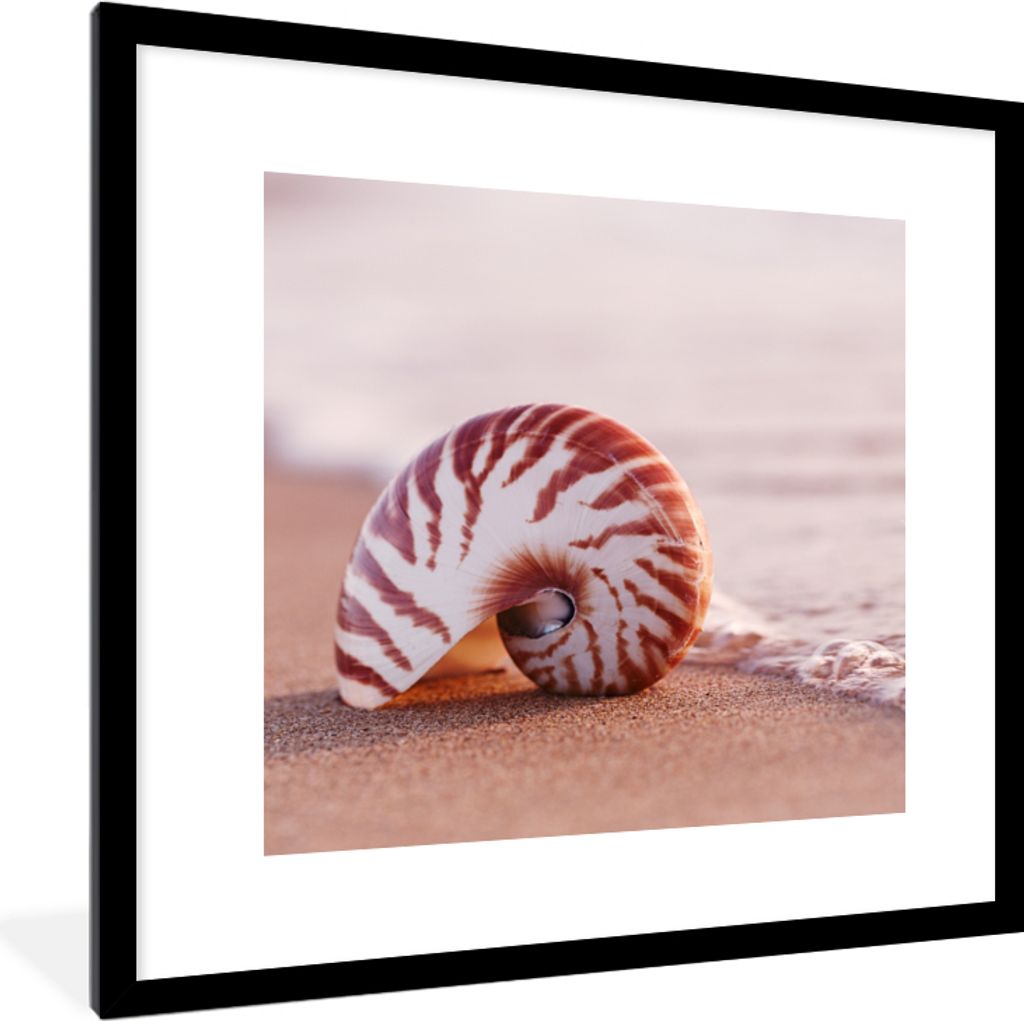 MuchoWow Gerahmtes Poster Muschel - Strand - Meer - Sand 40x40 cm - Poster mit Schwarzem Bilderrahmen Wandposter Rahmen Foto Bilder - Poster - Pl...