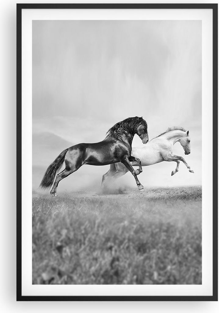 Gerahmtes Poster - Schwarzer Rahmen - Pferde Tiere Galopp Wiese - 61x91,5 cm - Wand Bild - Wanddeko - Wandbilder - Wandposter - Bilderrahmen - Bild...