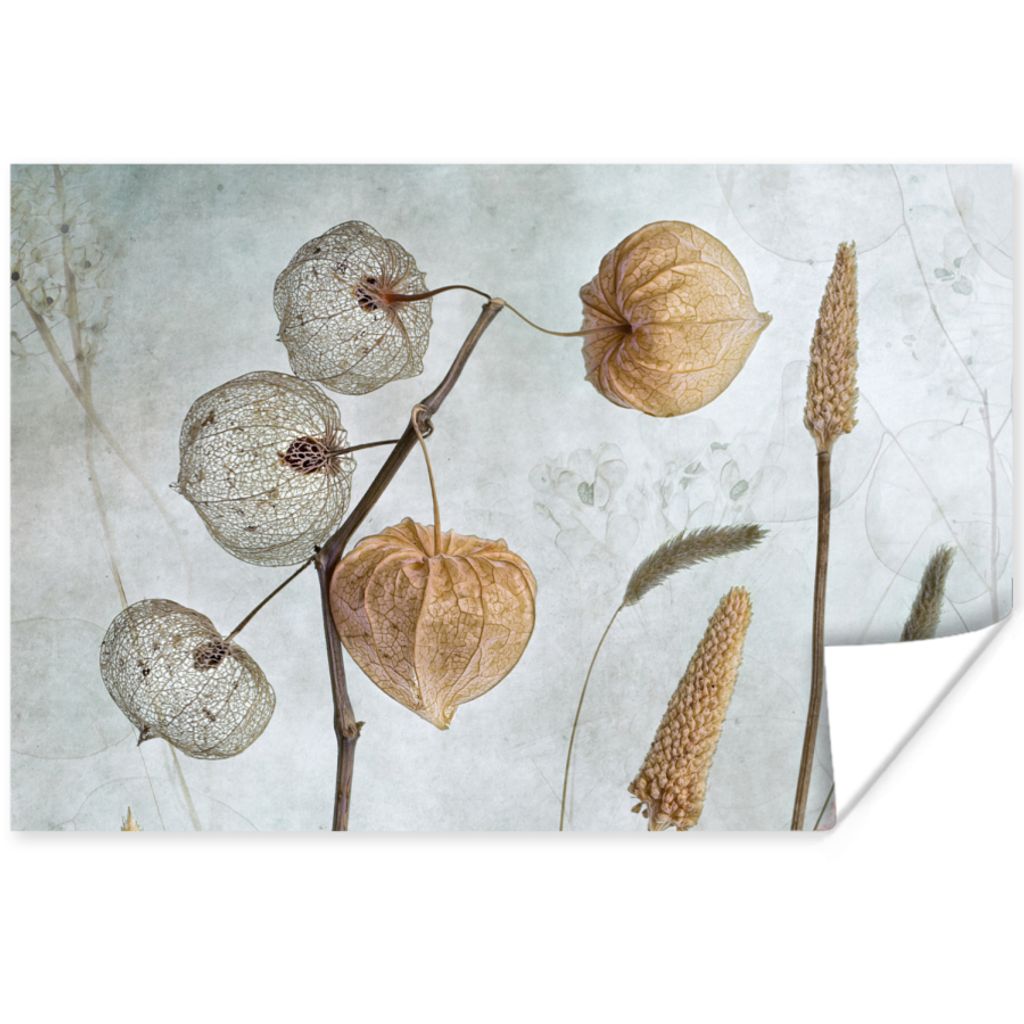 MuchoWow Poster Stillleben - Natur - Herbst - Trockenblumen 30x20 cm - Plakate - Print