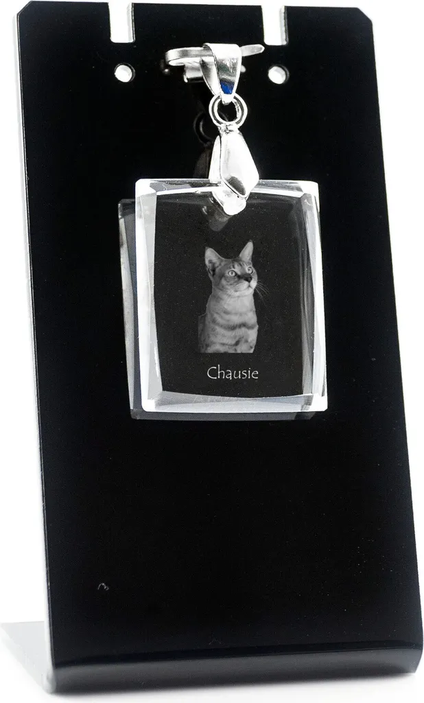 Chausie - Ciondolo gatto di cristallo, collana con foto, gioielli unici di Art-Dog