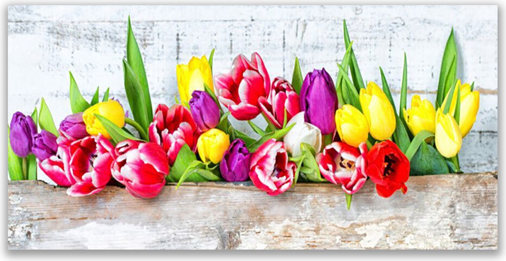 Küchenrückwand aus Glas 140x70cm Spritzschutz Tulpen Pflanzen