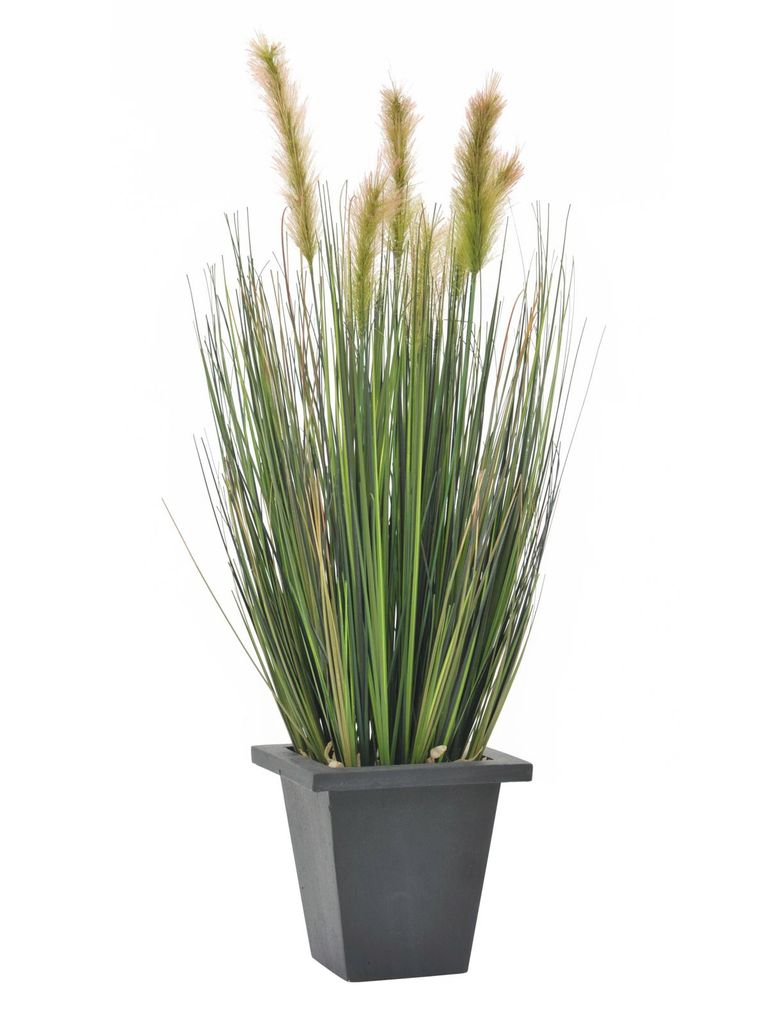 EUROPALMS Moorgras im Dekotopf, künstlich, 60cm (82505862)