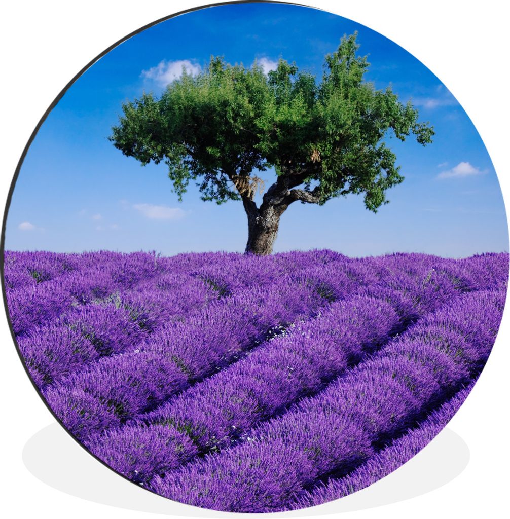 MuchoWow Aluminium Wandkreis Eine Nahaufnahme eines Lavendelfeldes Ø 30 cm Wanddeko Modern Wohnzimmer - Wand Bild - Wohnzimmer - Runde Bilder - ...
