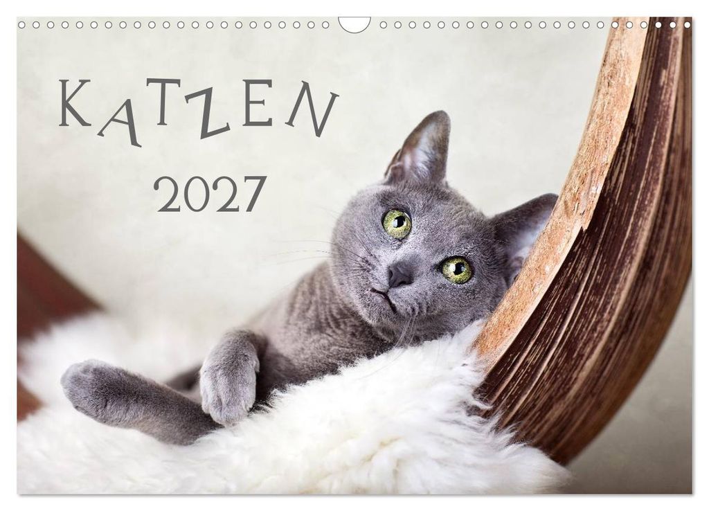 Katzen 2027 (Wandkalender 2027 DIN A3 quer), CALVENDO Monatskalender