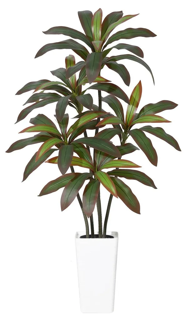Dracaena Artificiel 4XL : La Plante Sans Entretien pour Intérieur Zen