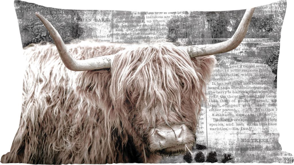 MuchoWow Zierkissen Sofakissen Wohnzimmer Dekokissen 50x30 cm Schottisches Hochlandrind - Kuh - Retro - Wohnzimmerdekoration - Polster mit Photo