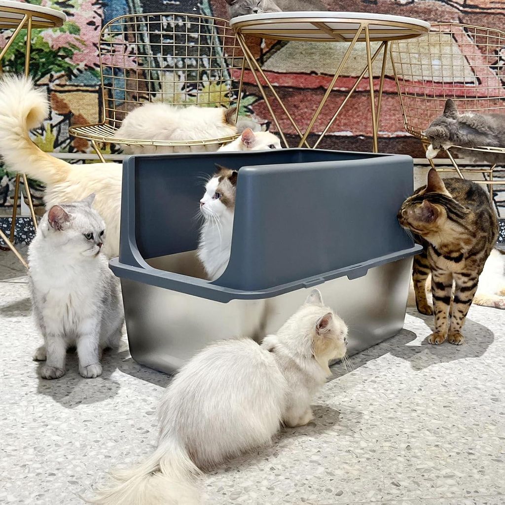 Große Katzentoilette aus Edelstahl mit Deckel - Hohe Seiten, leicht zu reinigen, geeignet für große Katzen