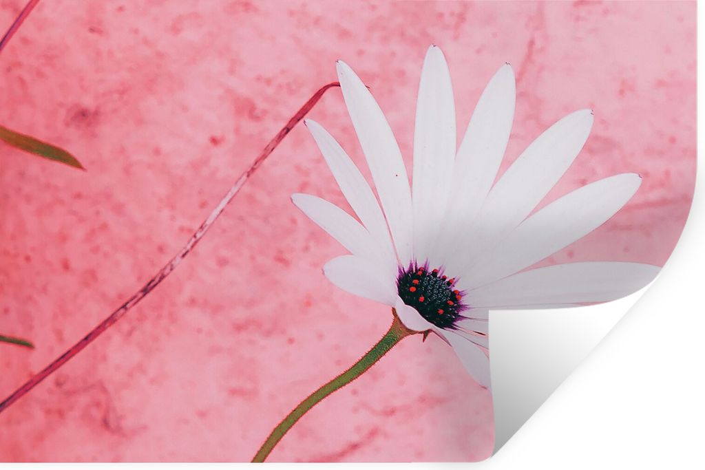 MuchoWow Wandtattoo Wandsticker Wandaufkleber Blumen - Rosa - Vintage 120x80 cm Selbstklebend und Repositionierbar - Selbstklebend - Fototapeten