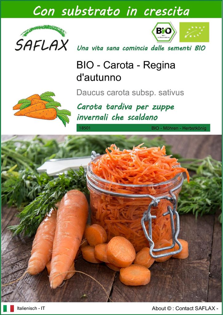 SAFLAX  -- Carota - Regina d'autunno - 1000 semi - Con Immagine del prodotto 