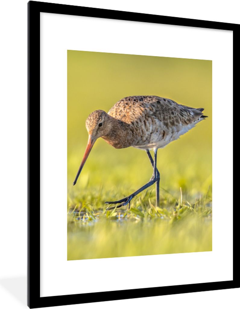 MuchoWow® Gerahmtes Poster Vögel - Gras - Landschaft - Produktbild 