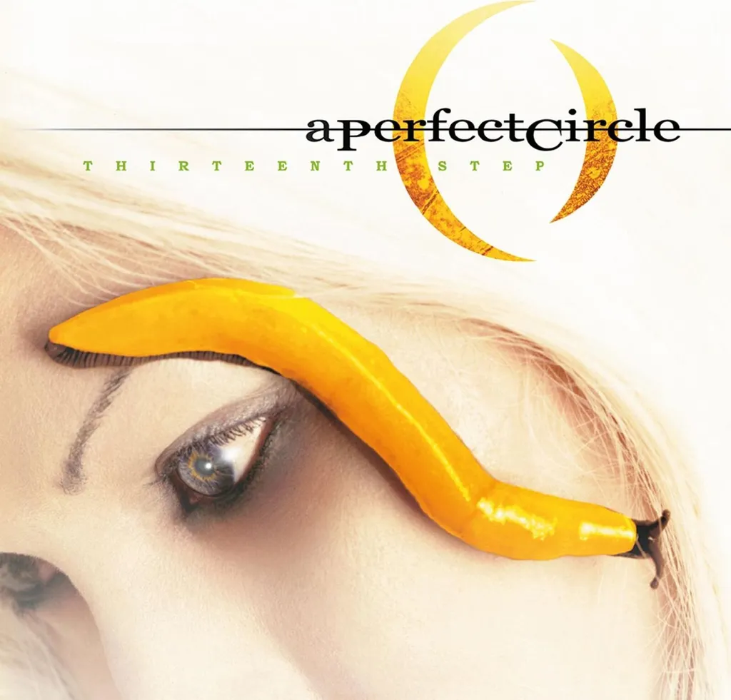 A Perfect Circle Thirteenth Step Réédition Vinyle 2 LP Son HD