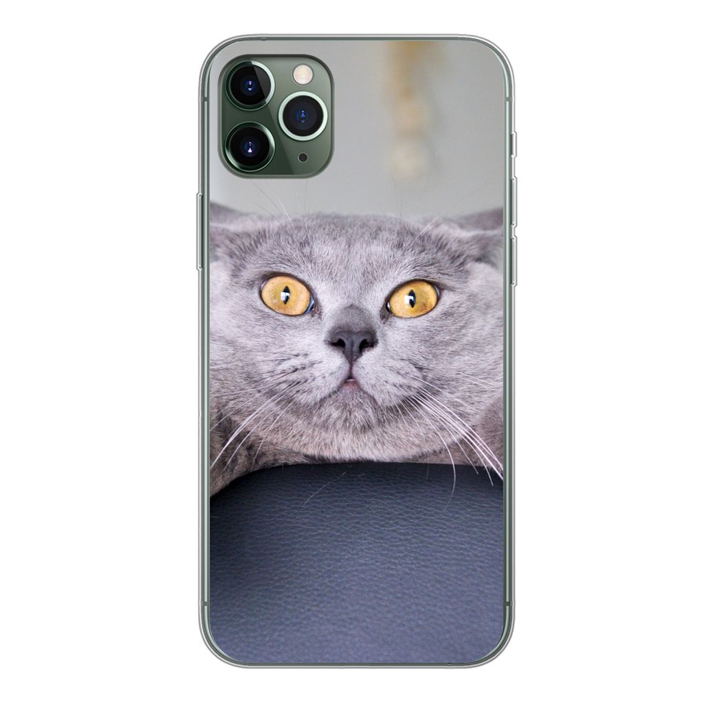 MuchoWow Handyhülle Schutzhülle Hülle für iPhone 11 Pro Max Katze - Angst - Stuhl Silikon Softcase Handy Hülle - Schutz