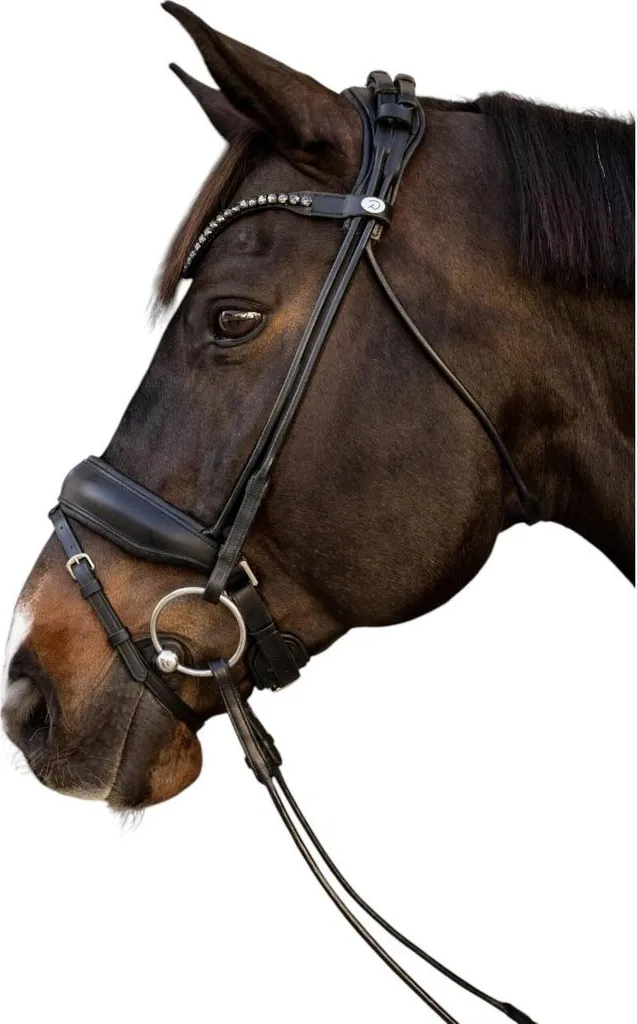 Bridon ComfoHead Dy'on combiné anglais noir complet cuir de buffle