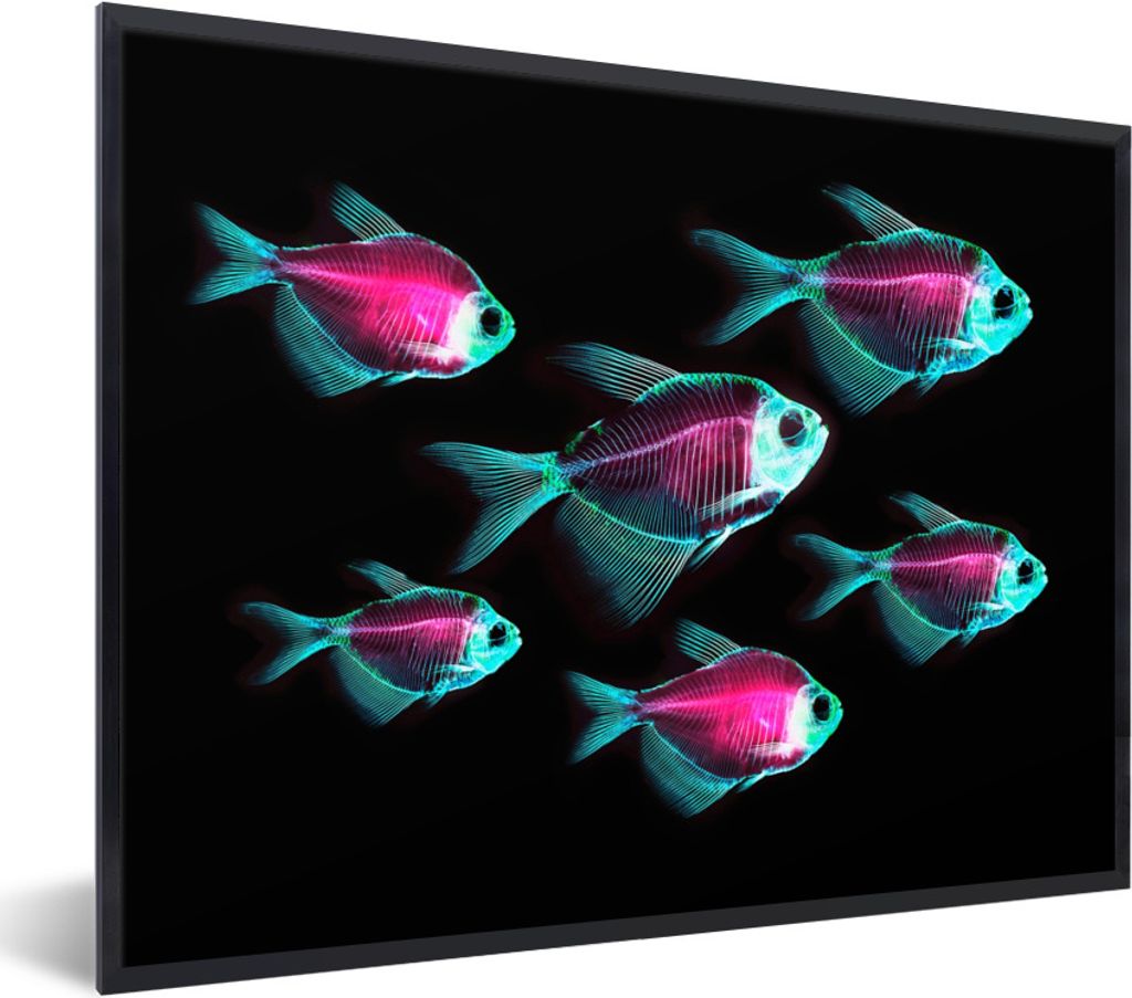 MuchoWow Gerahmtes Poster Fisch - Lila - Blau 40x30 cm - Poster mit Schwarzem Bilderrahmen Wandposter Rahmen Foto Bilder - Kunstposter - Wanddeko...