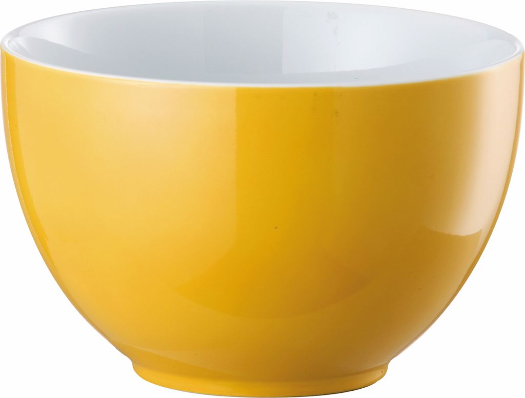 Thomas 10850-408502-15456, Porcelán, 0,45 l Obrázek produktu 