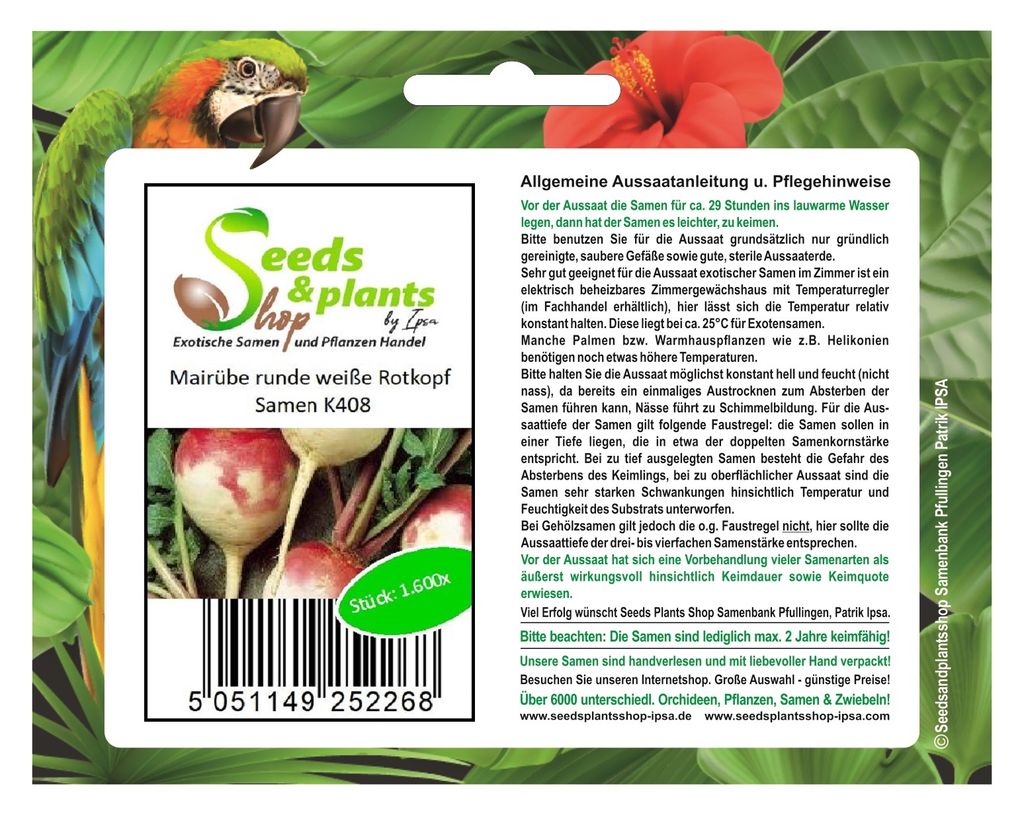 1600x Mairübe runde weiße Rotkopf Kohlrabi Gemüse Garten Pflanzen - Samen K408