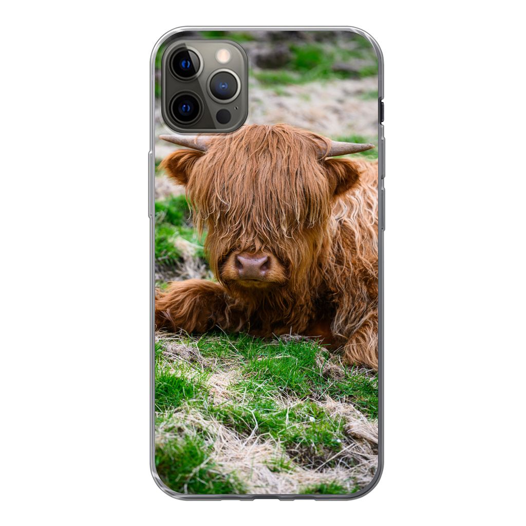 MuchoWow Handyhülle Schutzhülle Hülle für iPhone 12 Pro Max Schottischer Highlander - Heu - Gras Silikon Softcase Handy Hülle - Hartschale